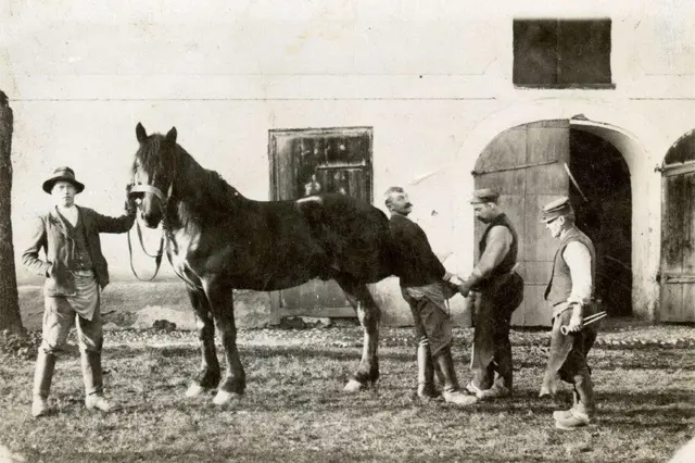 Vor der Hufschmiede Lacherstorfer ca. 1915. Rechts Josef Lacherstorfer (Urgroßvater) 2. v.r. Karl Lacherstorfer (Großvater).  | Foto: Lacherstorfer