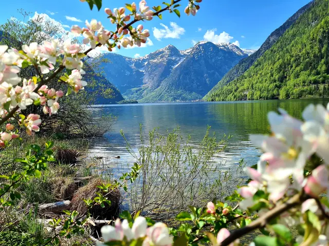 Malerisch: Regionaut Norbert Stich teilt mit uns bei seiner Ostuferwanderung den Blick auf den Hallstätter See. | Foto: Norbert Stich