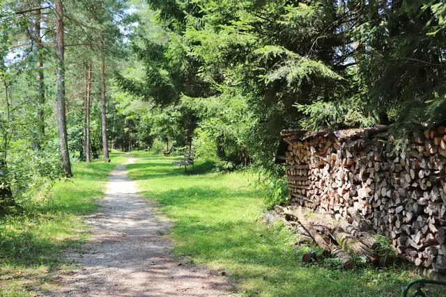Von 15.00 bis 18.30 Uhr findet eine gemeinsame Frühlingswanderung im Kaiserwald statt. | Foto: Edith Ertl