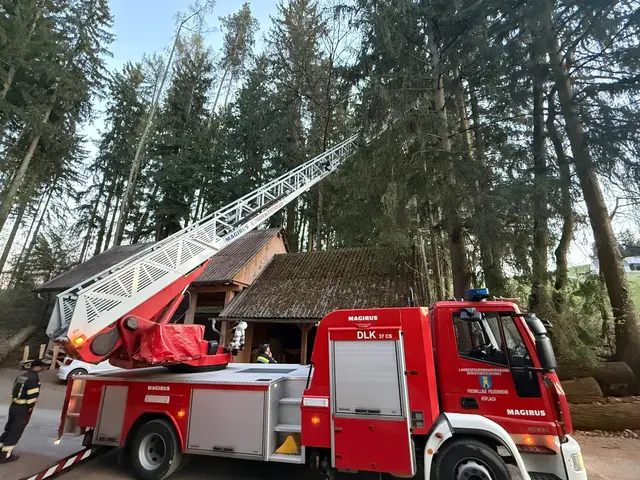 Aus 20 Metern Höhe musste in Voitsberg eine Babykatze geborgen werden. | Foto: FF Voitsberg