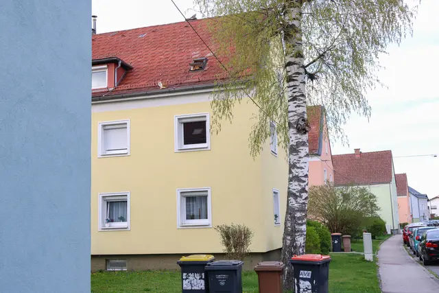 Zwei Katzen riefen mit ihrer Kletterkunst auf einem Hausdach in Wels-Vogelweide die Feuerwehr auf den Plan. | Foto: laumat.at