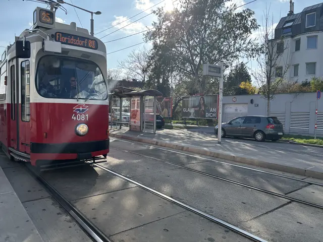 Ein Antrag im Donaustädter Bezirksparlament möchte entlang der Linie 25 ausschließlich moderne Straßenbahnen. | Foto: Michael Marbacher/MeinBezirk