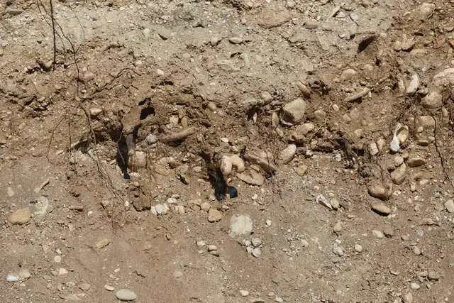 Auf einer Baustelle in der Welser Vogelweide wurden menschliche Überreste gefunden.