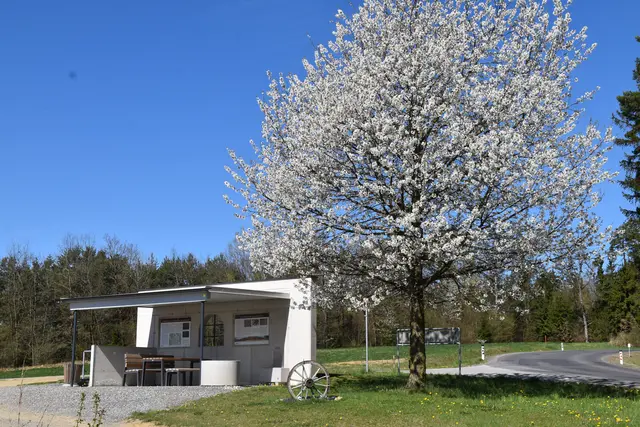 Foto: MeinBezirk/Michael Strini