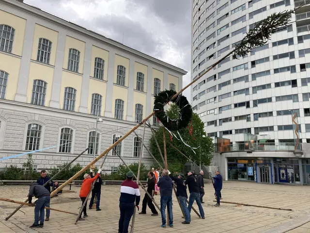 Am 30. April wird in Ottakring wieder ein großer Maibaum aufgestellt. Bereits im letzten Jahr wurde der Baum am Vorplatz errichtet. (Archivfoto) | Foto: Bildungsagentur Verein