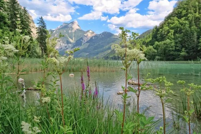 Der Leopoldsteinersee ist ein beliebtes Ausflugsziel in der Region. | Foto: TV Erzberg Leoben/M. Pezmann