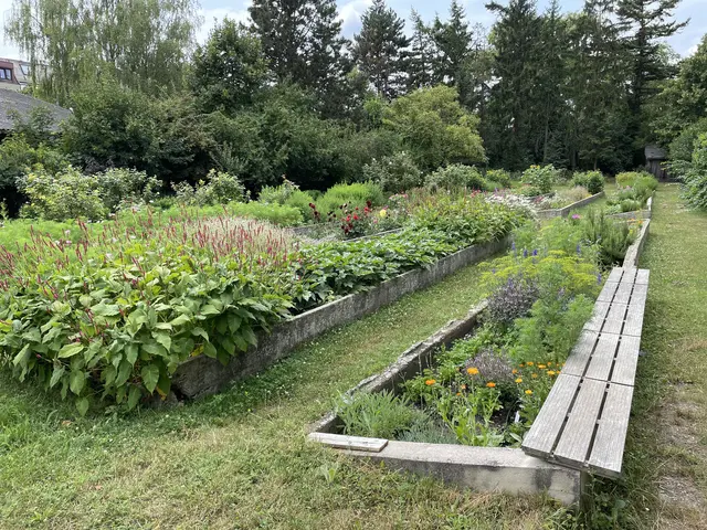 Im Park des Kardinal-König-Hauses an der Jagdschloßgasse soll ein Tageshospiz errichtet und der Kindergarten erneuert werden. | Foto: Lisa Kammann