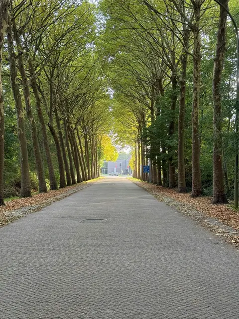 Neue Gartenstraßen in zwei Meidlinger Grätzln geplant