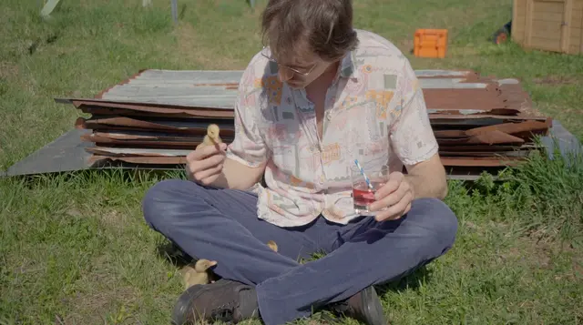 Jesse macht Bärlauchsalat