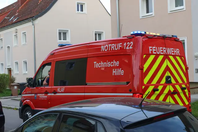 Zwei Katzen riefen mit ihrer Kletterkunst auf einem Hausdach in Wels-Vogelweide die Feuerwehr auf den Plan. | Foto: laumat.at