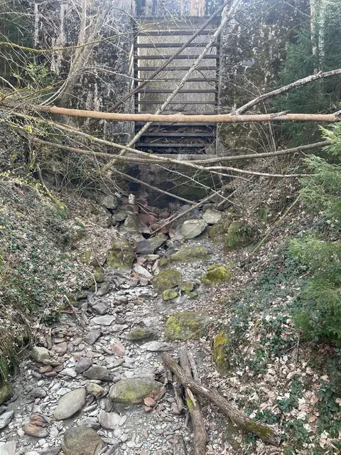 Der Kaiserlochbach in der Gemeinde Hart i. Z. ist ein Beispiel für die Nutzung des Wassers für Stromproduktion.  | Foto: privat
