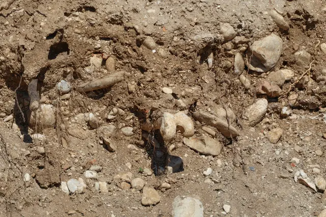 Auf einer Baustelle in der Welser Vogelweide wurden menschliche Überreste gefunden.