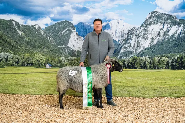 Gesamtsieg: Edgar Wernbacher mit Mrs. Styria Alpines Steinschaf. | Foto: Steirischer Schaf- und Ziegenzuchtverband