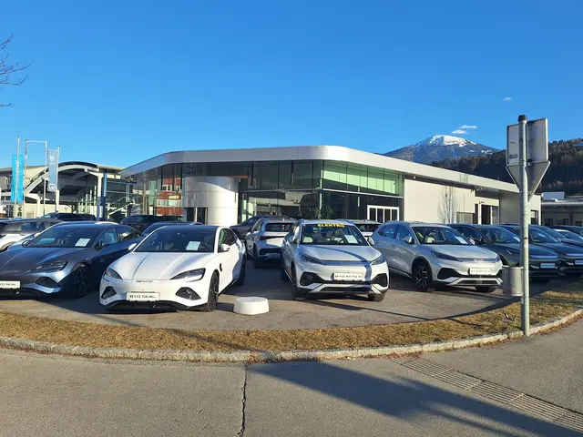 Am Standort Mitterweg werden die neuesten BYD-Modelle im Rahmen der Innsbrucker Autotage vorgestellt. | Foto: ELLENSOHN Das Autohaus