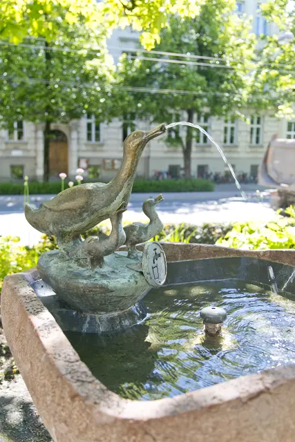 Die Bauabteilung betreut insgesamt 57 Brunnen im Stadtgebiet, darunter 32 Trinkwasserbrunnen.  | Foto: Archivbild: Stadt Salzburg