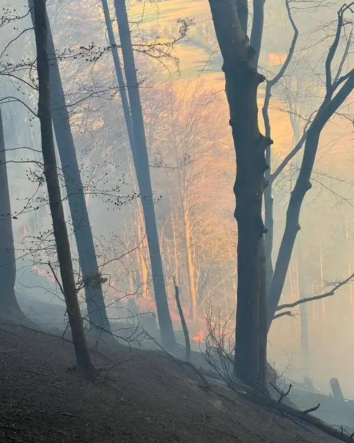 Foto: Freiwillige Feuerwehr Föderlach