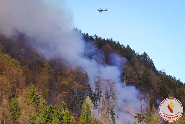 Foto: Freiwillige Feuerwehr Treffen