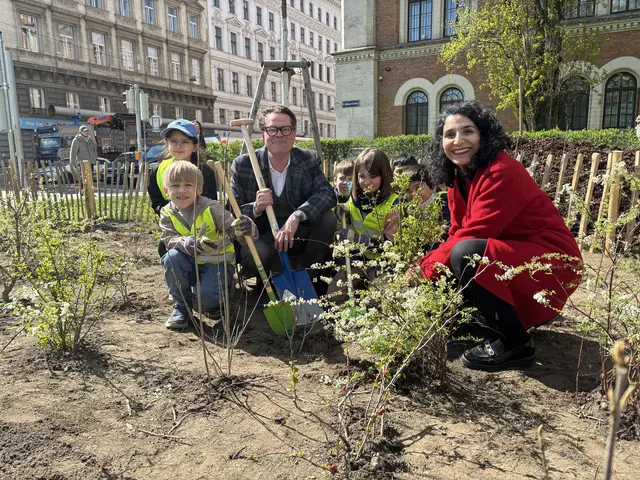 Gemeinsam wurden die rund 100 Sträucher gepflanzt.  | Foto: Fabian Franz/MeinBezirk
