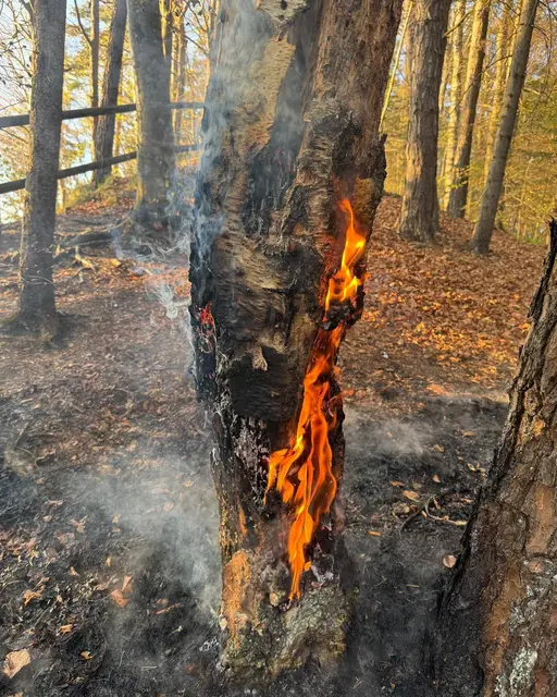 Foto: Freiwillige Feuerwehr Föderlach