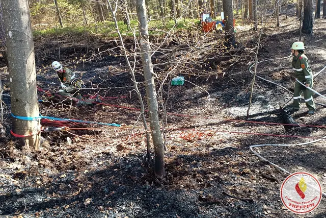 Foto: Freiwillige Feuerwehr Treffen