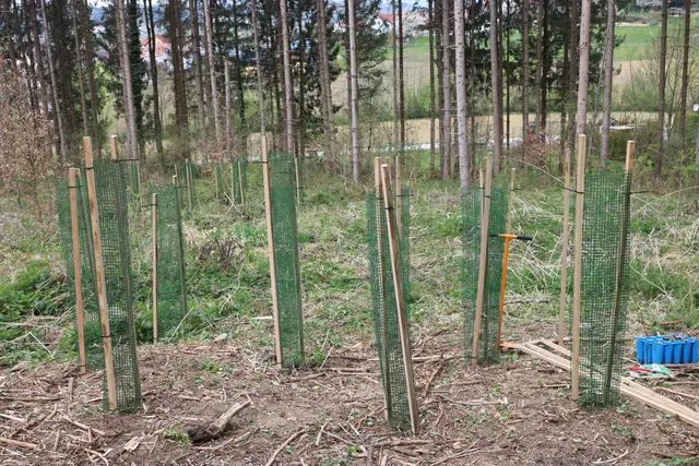 Foto: Waldverband Steiermark