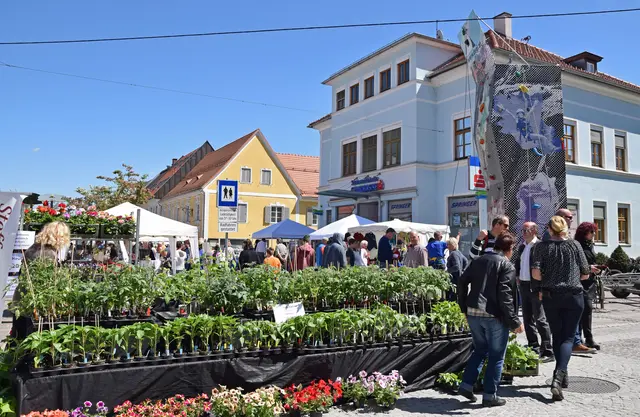 Deutschlandsberger Biofest – für Kinder gemacht, für morgen gedacht
