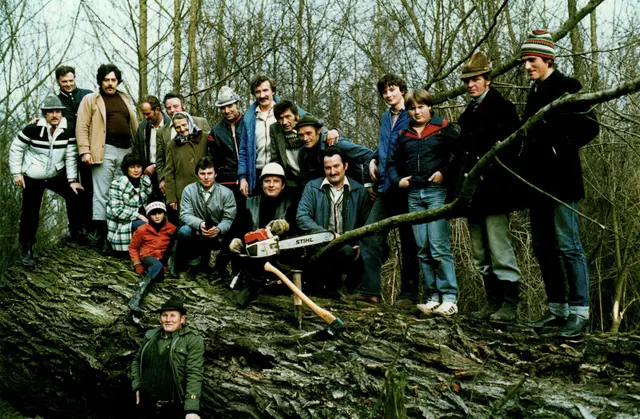 Als ein Baumriese dem Bau der B3 weichen musste