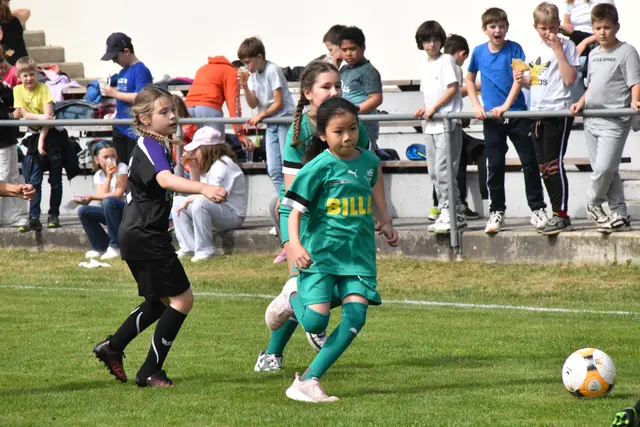 Foto: MeinBezirk/Michael Strini