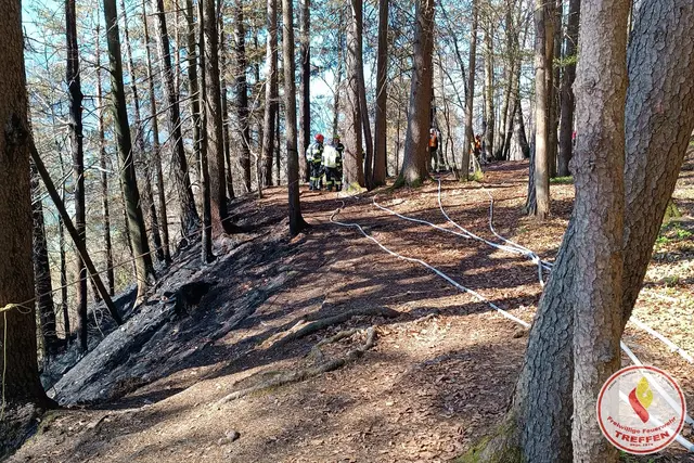 Foto: Freiwillige Feuerwehr Treffen