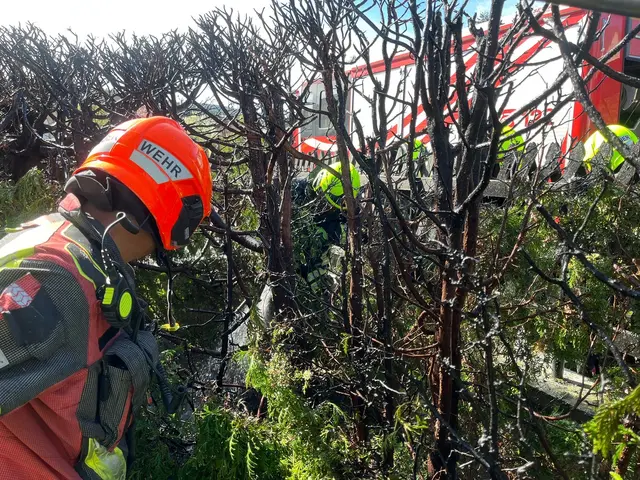 Einsatz für Pottschachs Feuerwehr. | Foto: FF Ternitz-Pottschach
