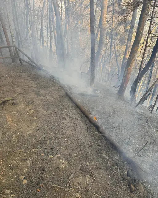 Foto: Freiwillige Feuerwehr Föderlach