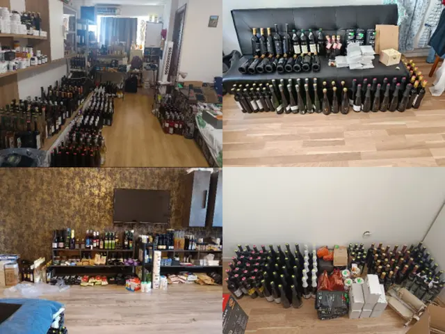 Elfköpfige Wiener Bande prellt Hunderte Firmen um 160.000 Euro