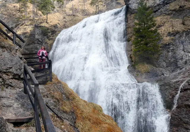 Gigi vor dem weißen Wasserteppich