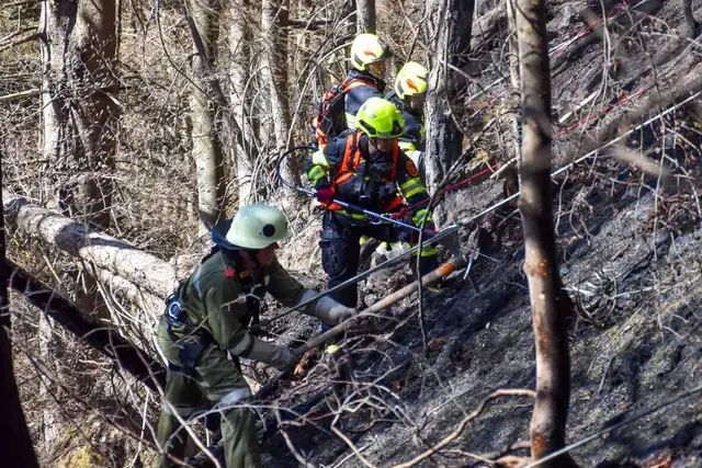 Foto: Freiwillige Feuerwehr Treffen
