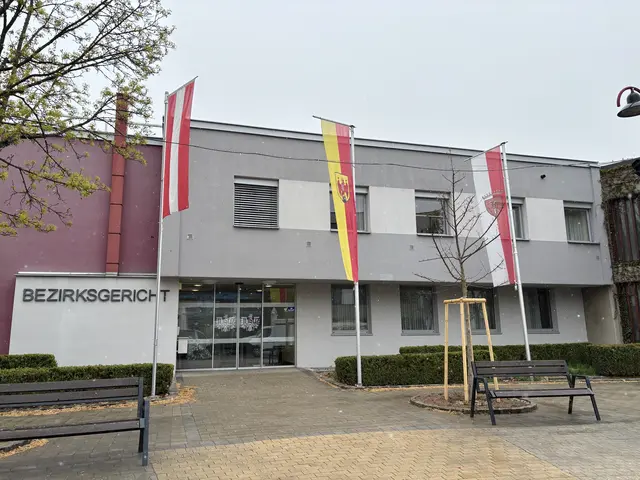 Facebook-Posting kommt FPÖ-Politikerin teuer zu stehen