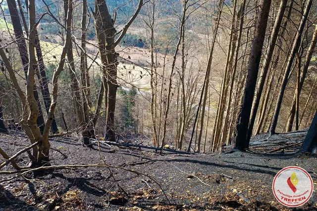 Foto: Freiwillige Feuerwehr Treffen