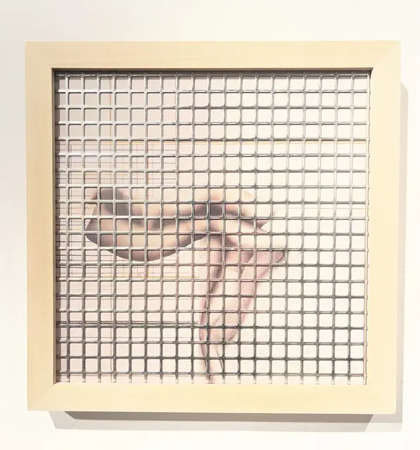 Rudolf Beer
aus der Serie
„Wunderliches"
Mischtechnik, 2026
à € 180,- | Foto: Josef Goldhofer