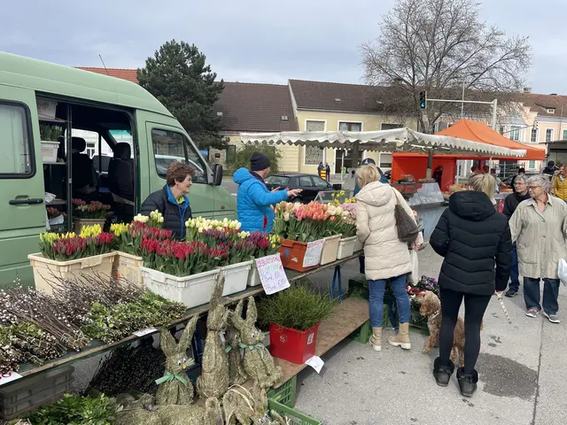 Frischemarkt Groß-Enzersdorf. | Foto: Martina Altmann