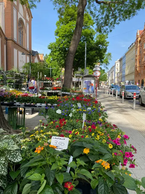 Vor der Altlerchenfelder Kirche findet ein Blumenmarkt statt