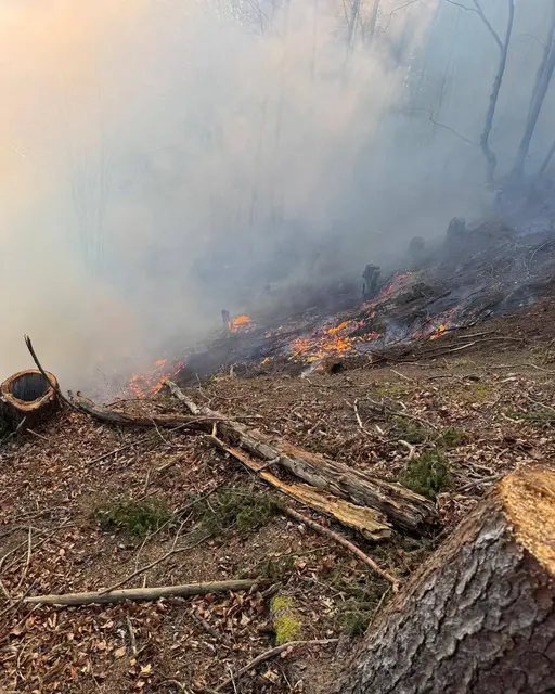 Foto: Freiwillige Feuerwehr Föderlach