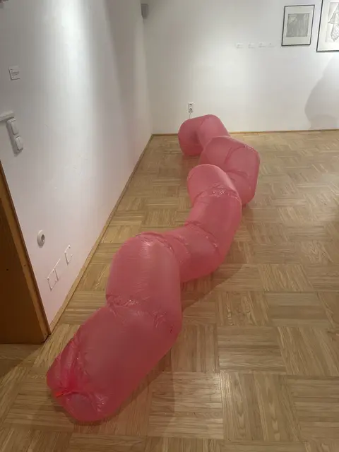 Harald Herkner
„Sack"
Müllsäcke (Himbeerduft, 201), Verschlussclip für Vorratsbeutel, Haargummi, Dachrinne, Einbauventilator, Bewegungsmelder;
Dimension variabel, Holzsockel Eiche, 2026 | Foto: Josef Goldhofer