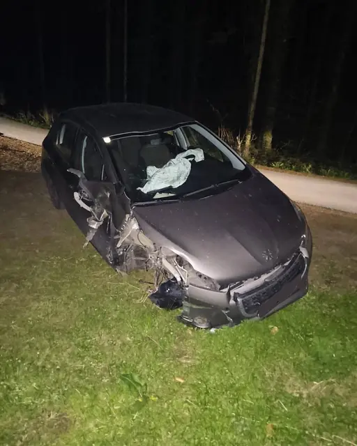 Ein Fahrzeug prallte gegen ein Geländer