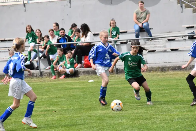 Foto: MeinBezirk/Michael Strini