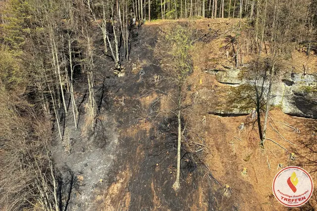 Foto: Freiwillige Feuerwehr Treffen