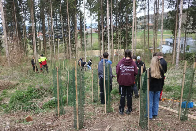Foto: Waldverband Steiermark