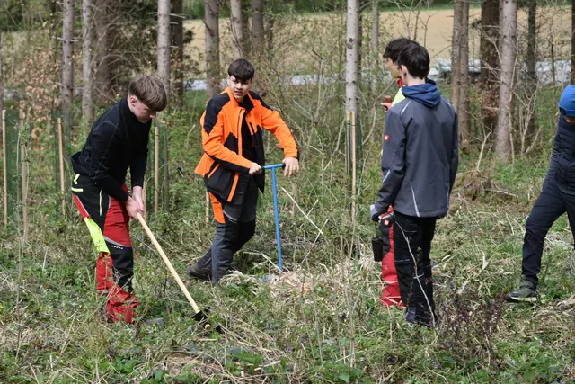 Von den Schülerinnen und Schüler der Fachschule Grottenhof und Mittelschule St, Ruprecht/ R. wurden die Bäume angesetzt.  | Foto: Gerald Dreisieber