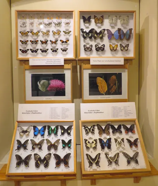 Foto: Bilder von Erika Felkel und Wolfgang Rubisoier