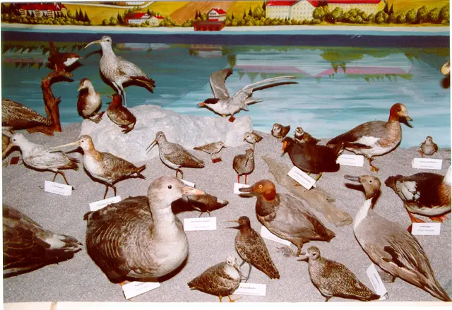 Foto: Bilder von Erika Felkel und Wolfgang Rubisoier