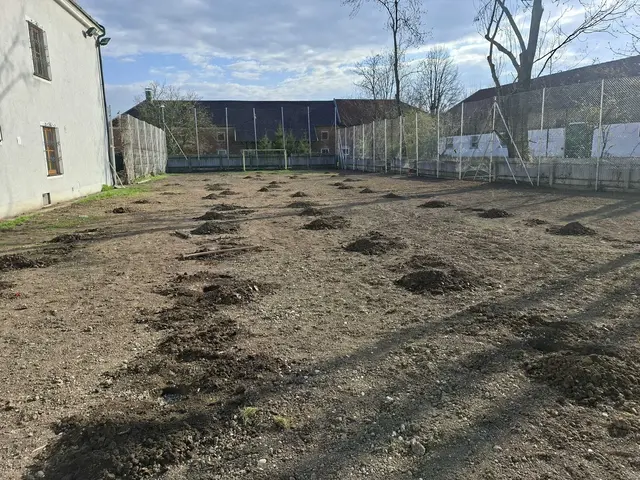 Foto: Karl Schönauer