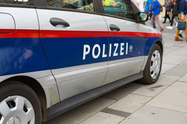 Lenker ohne Führerschein flüchtet und rammt Polizeiauto